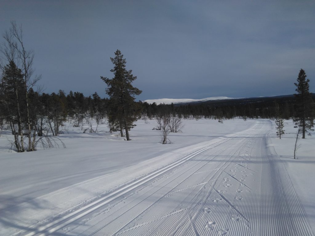 skiing tracks