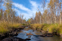 Juhanijoki