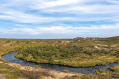 Suomajoki