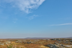 Aaletavaara