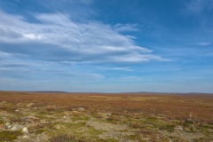 Tundra