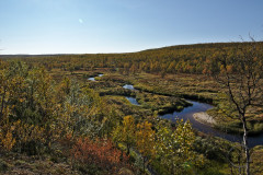 Sukisjoki