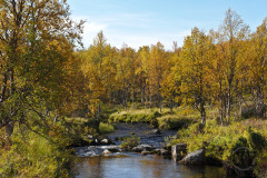 Sukisjoki