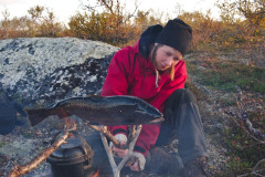 Arctic Char