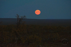 Moonrise