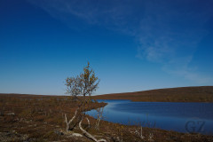 Maatojärvi