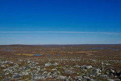 Tundra
