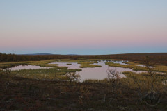 Pond