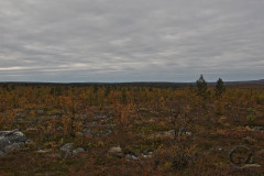 Ruska