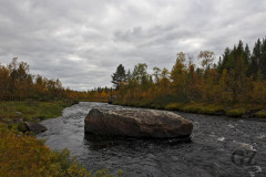 Ruska at Pöyrisjoki