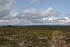 Palo-Kuorttusvaara