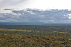 Palo-Kuorttusvaara