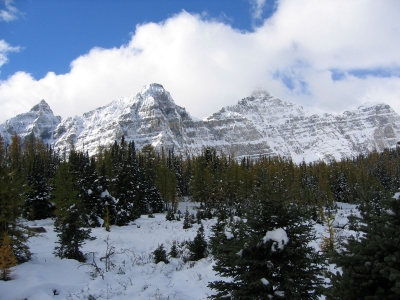 Larch Valley