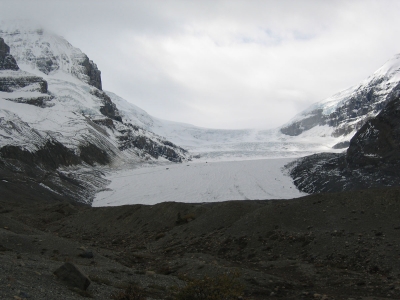 Columbia Icefields