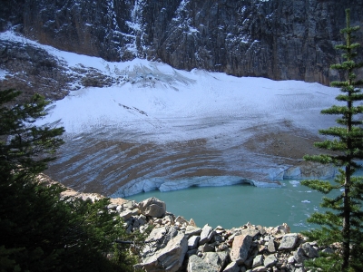 Cavell Glacier