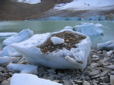 Cavell Glacier