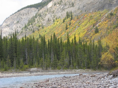 Sunwapte River