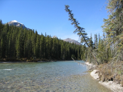 Bow River