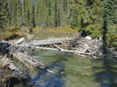 Bow River