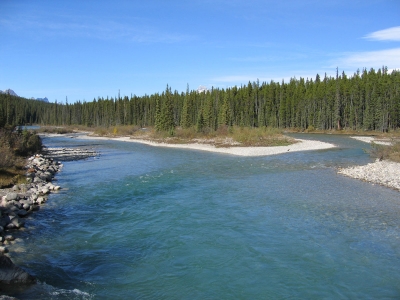 Island in Bow River
