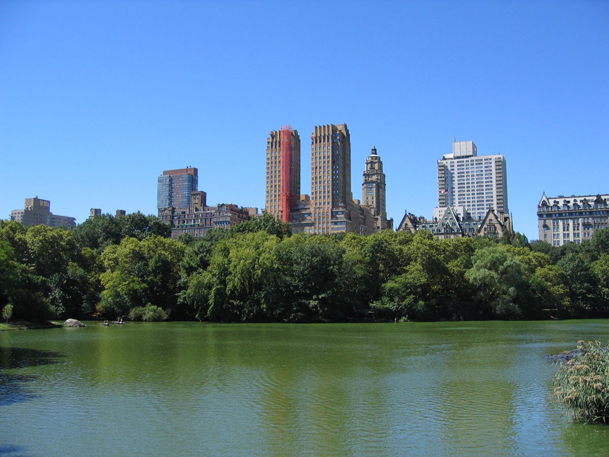 Central Park