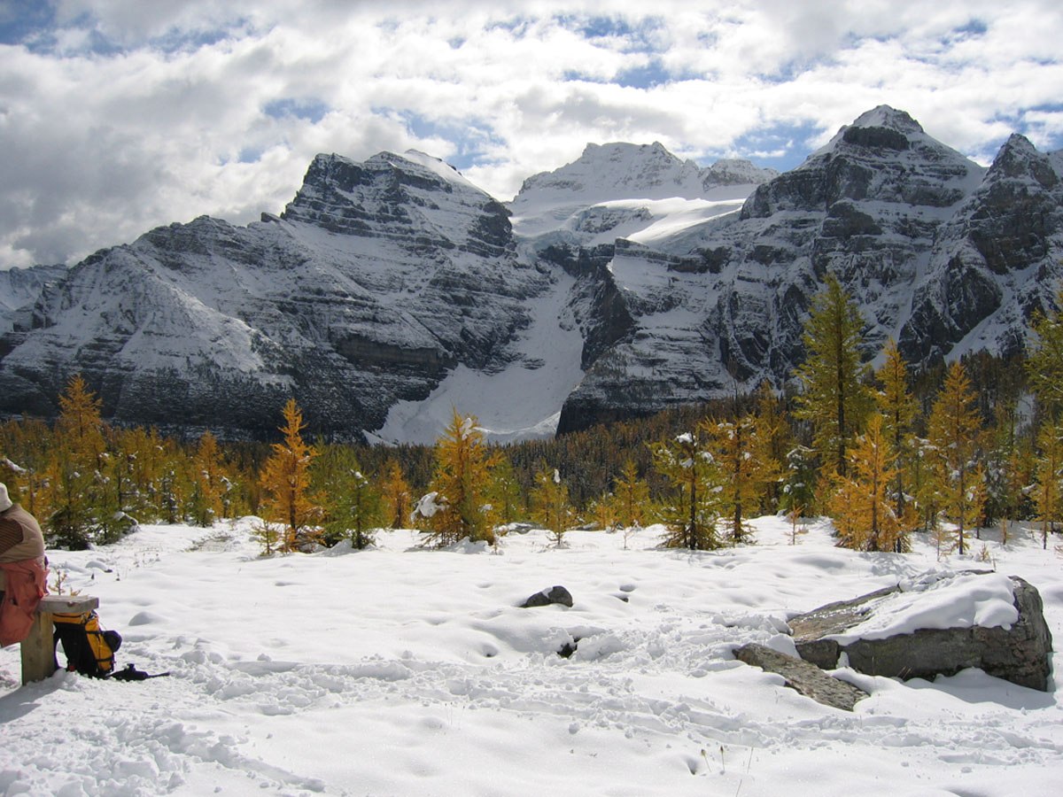 Larch Valley