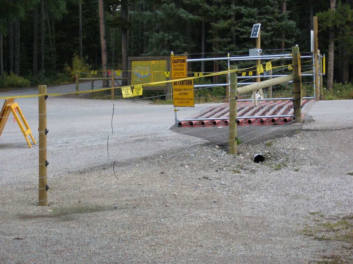 Bear Fence