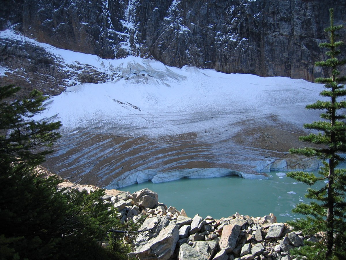 Cavell Glacier