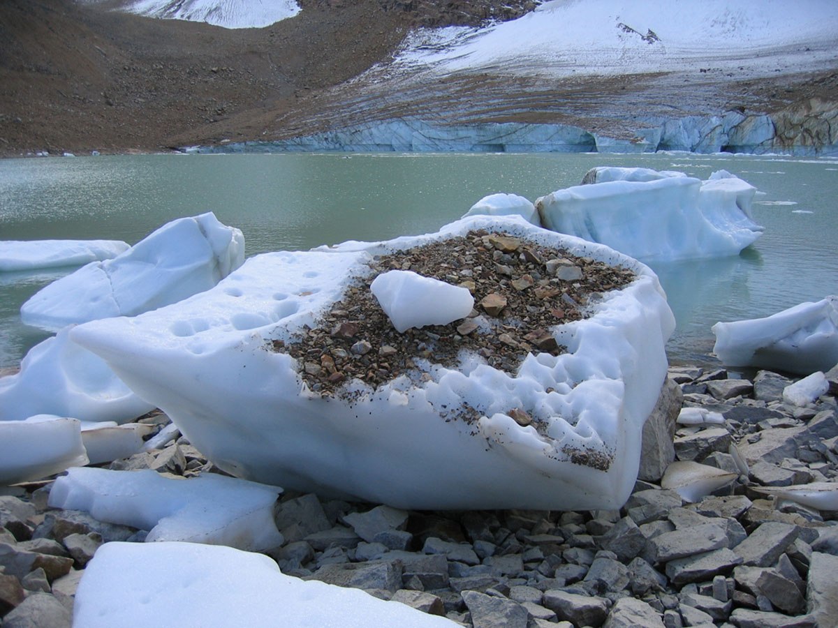 Cavell Glacier