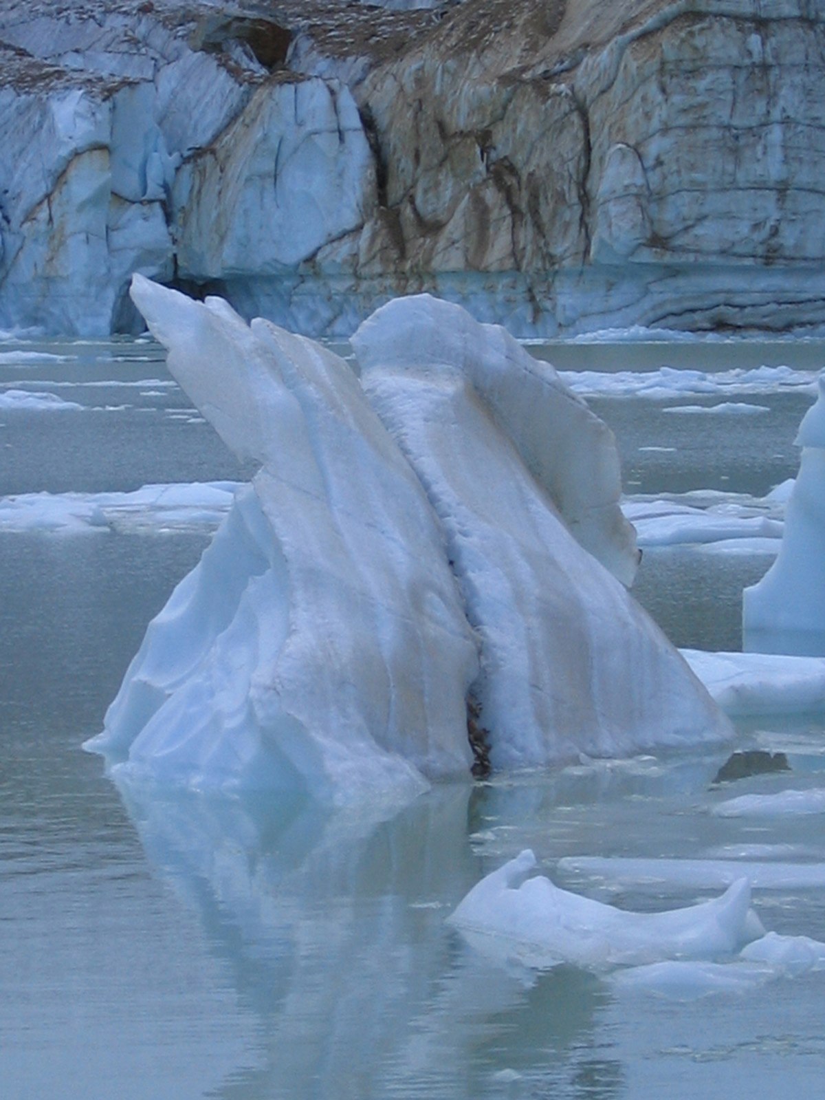 Cavell Glacier