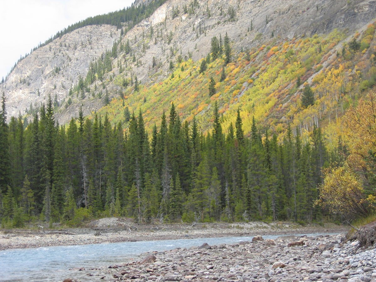 Sunwapte River