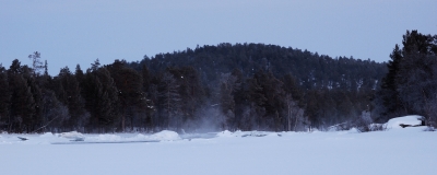 Inari