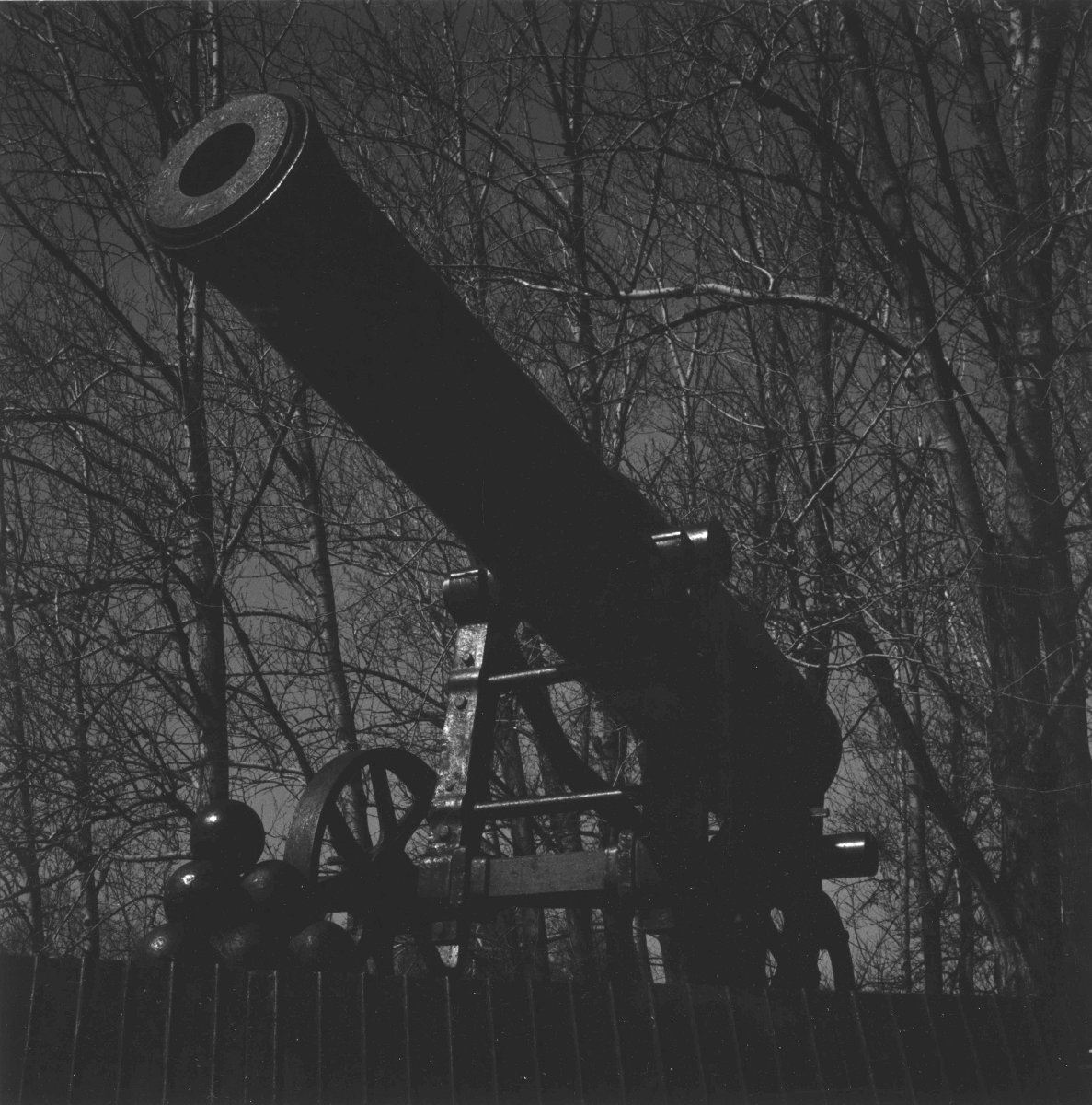 Monument in Petrozavodsk