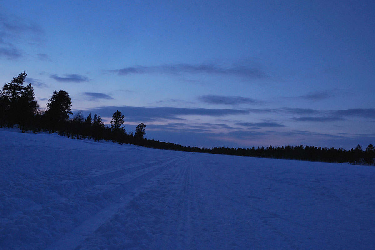 Rautujärvi