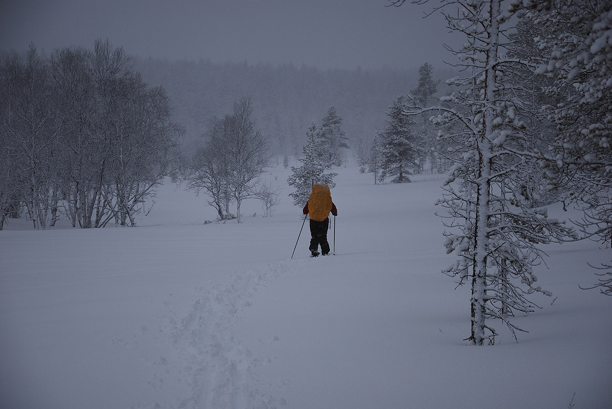 Skiing to Sioskuru