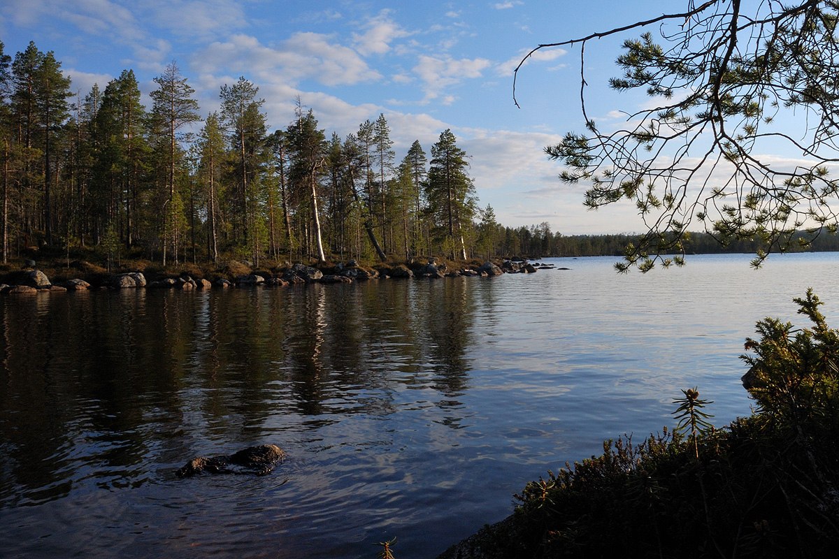 Walk to One of the Oldest Buildings in Lappi: The Pielpajärvi ...