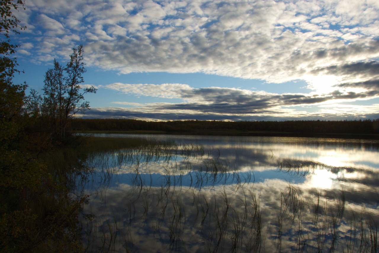 Naltijärvi
