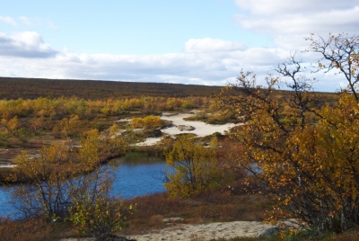 Pöyrisjärvi Wilderness Area