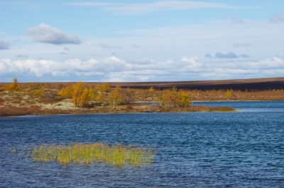 Pöyrisjärvi Wilderness Area