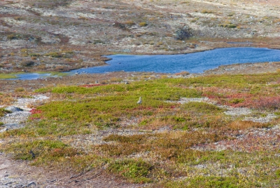 Pöyrisjärvi Wilderness Area
