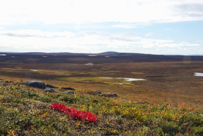 Pöyrisjärvi Wilderness Area
