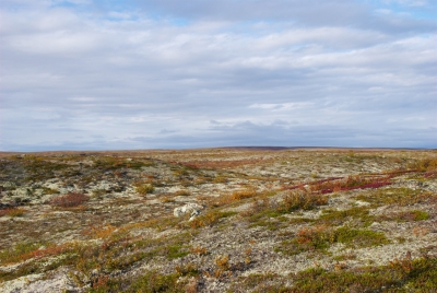 Pöyrisjärvi Wilderness Area