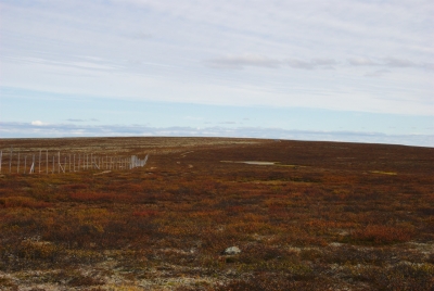 Pöyrisjärvi Wilderness Area