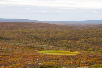 Pöyrisjärvi Wilderness Area