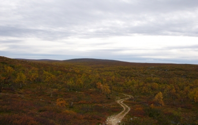 Pöyrisjärvi Wilderness Area