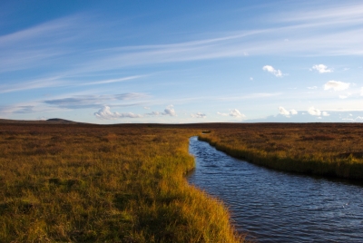 Maaterjärvi effluent
