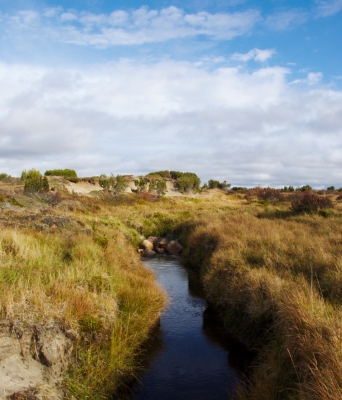 Pöyrisjärvi Wilderness Area