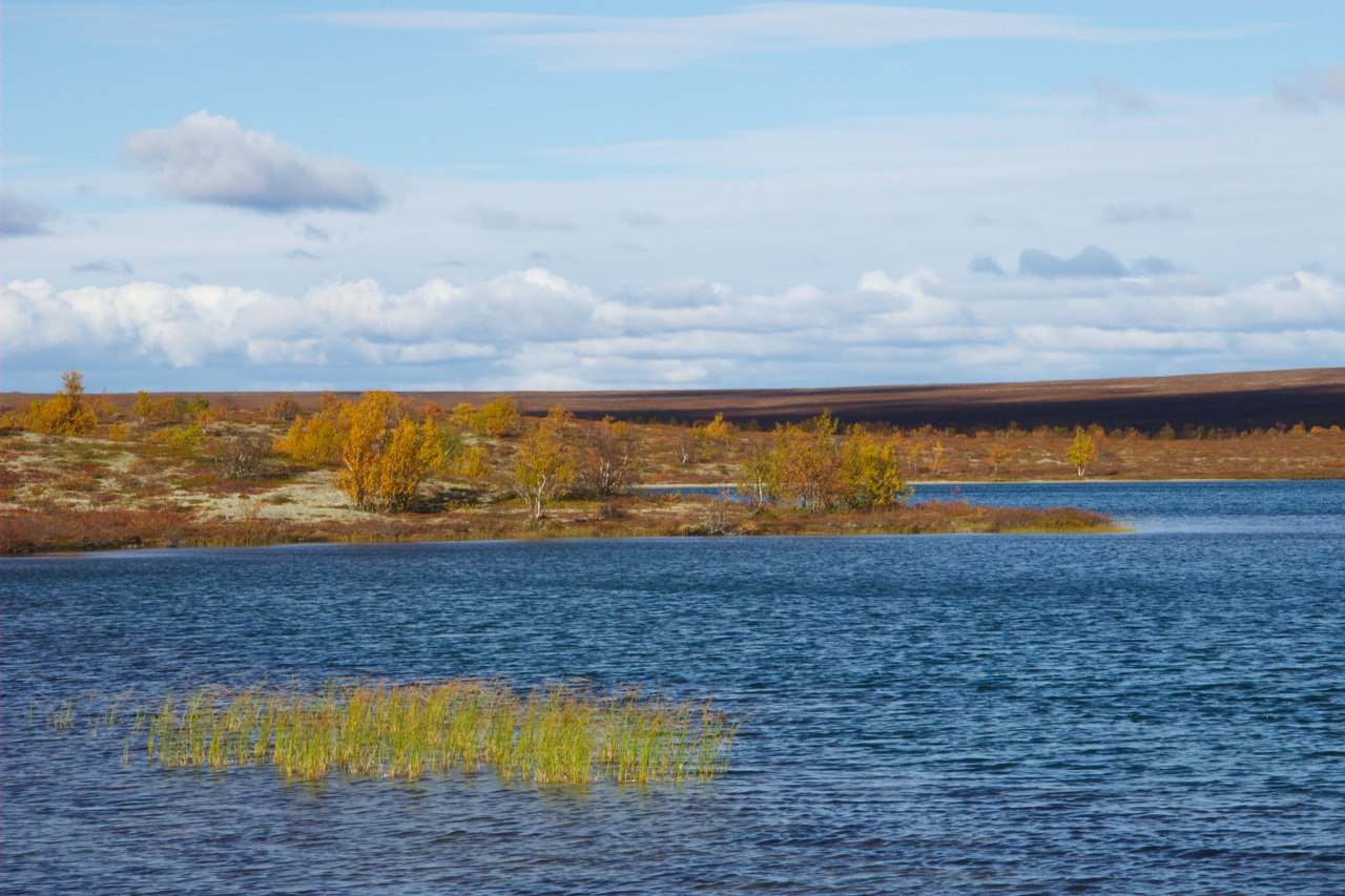 Pöyrisjärvi Wilderness Area