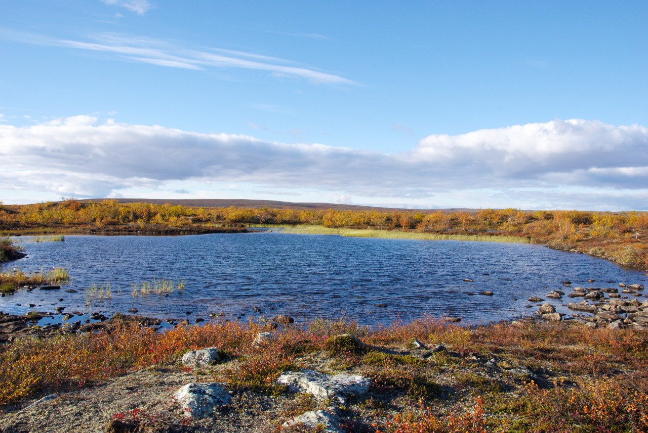 Pöyrisjärvi Wilderness AreaPierkkujärvi