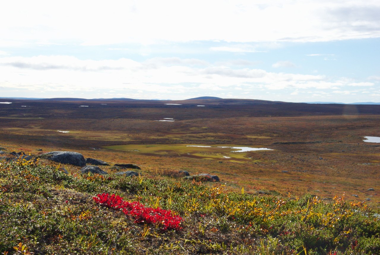 Pöyrisjärvi Wilderness Area